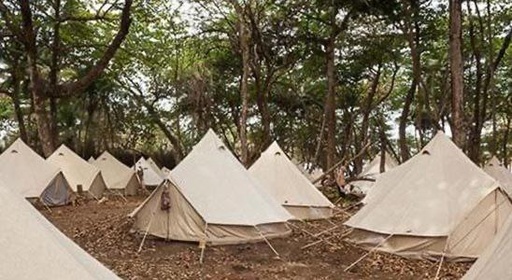 Petite Belle - TG26 - Single Occupancy